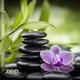 BOX Radio - ZEN Radio logo