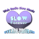 SLOW FOREVER logo