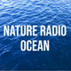 Logo de Radio Suite Network - Nature Radio Ocean