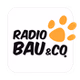 Radio 105 - Radio Bau & Co logo