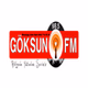 Göksun FM logo