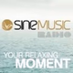 Sine-music logo