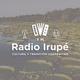 Logo de FM Radio Irupé