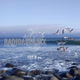 Logo de Grupo Radioasta - XHSCBH