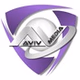 avivmedia.fm logo
