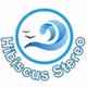 Hibiscus Stereo logo