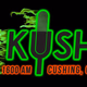 Logo de KUSH Radio - KUSH