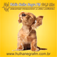 Logo de Rádio Hulha Negra FM