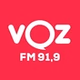 Voz do Sudoeste logo