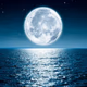 Logo de LUNA LINDA DE LA NOCHE