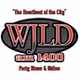 104.1 FM WJLD - WJLD logo