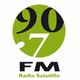 Logo de Radio Saladillo