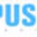 Logo de PUSH Radio