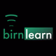 The BIRN - BIRN Learn logo