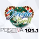 Positiva FM - 101.1 FM logo