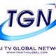 Logo de TGN