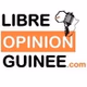 Radio Libre Opinion (RLO) logo