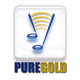 Logo de PureGold Oldies