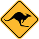 Kangaroo logo
