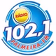 Palmeira FM logo
