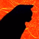 Void Radio logo