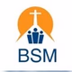 BSM Radio-TV logo