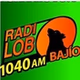 Radio Lobo Bajio - XESAG logo