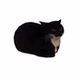 Maxwell Cat Radio logo