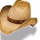 Cowboy One logo