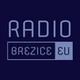 Radio Brežice Eu logo