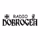 Logo de Radio Dobrogea 99.7 FM