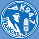 94.7 FM WaaKool - WAAK-LP logo