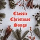 Christmas Fly logo