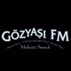Konya Gözyaşı FM logo