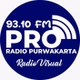 PRO 93.10 FM logo
