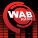 Logo de We Are Barnsley Radio
