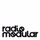 Radio Modular - SRZ logo