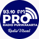 Logo de PRO 93.10 FM