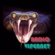 Radio Vipernet - Pascani Disco logo