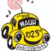 102.3 The Bug - WAUH logo