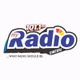 Logo de My Radio 101.1 Owerri