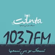 Logo de INTA FM 103.7