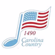 Logo de Real Country - WSTP