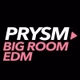 Logo de Prysm Radio - EDM Big Room