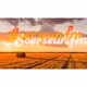 Logo de Boerseun Fm