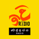 Logo de Wellassa Radio