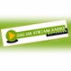 Dream Stream Radio Rotterdam logo