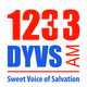 Logo de 1233 DYVS - DYVS
