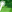 Radio Valbelluna logo