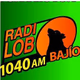 Logo de Radio Lobo Bajio - XESAG